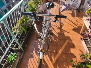 Bicicleta pieghevole Conor Zippy