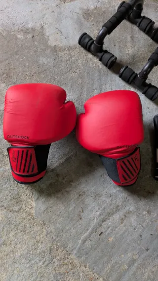 Guantes Boxeo/MMA y Soporte Flexiones