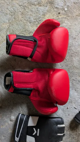 Guantes Boxeo/MMA y Soporte Flexiones