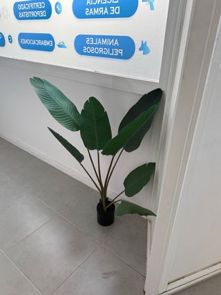 Planta artificial decorativa