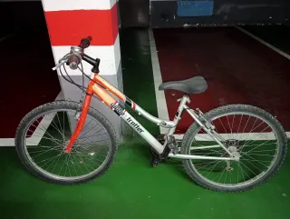 Bicicleta infantil Globe Trotter