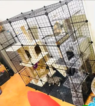 Jaula corral plegable desmontable