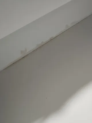 Cama 160x200 + Colchón 150x200