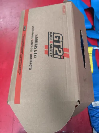 Pareja Arneses FIA GT2i Azul