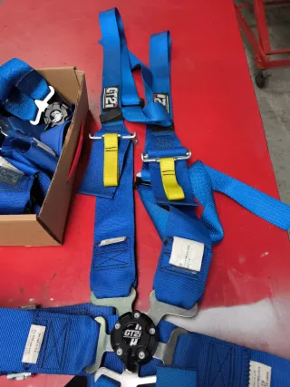 Pareja Arneses FIA GT2i Azul