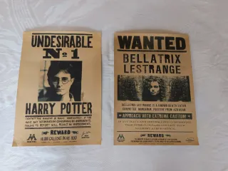 Póster Harry Potter y Bellatrix Lestrange