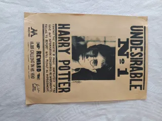 Póster Harry Potter y Bellatrix Lestrange