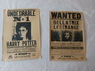 Póster Harry Potter y Bellatrix Lestrange