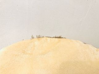 Camita para perro pequeño