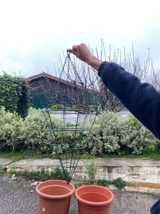 Cestas macetas colgantes metálicas verdes