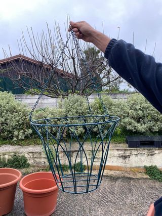 Cestas macetas colgantes metálicas verdes