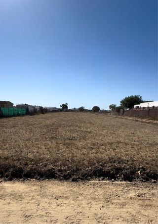 Parcelas rusticas de 500m en el Palmar de Vejer.