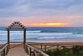 Parcelas rusticas de 500m en el Palmar de Vejer.