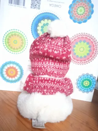 Peluche Oso con Gorro y camiseta.