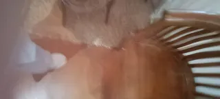 Sillón Teka Colonial Marrón