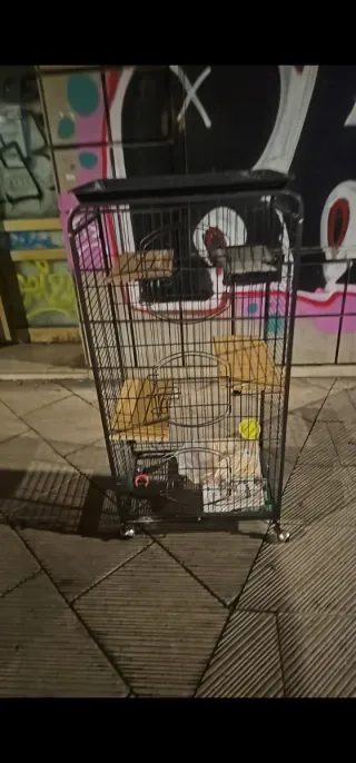 Jaula para mascotas negra y multicolor