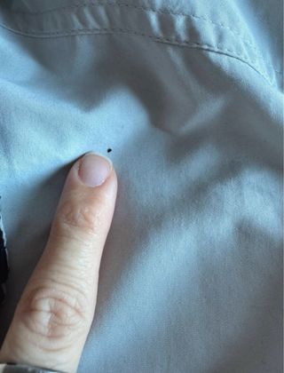 Chaqueta Champion U.S.A. Gris vintage 90’s