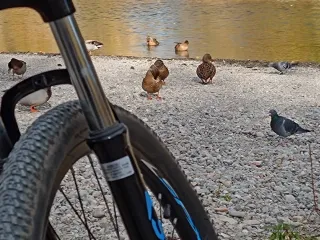 Bicicleta Montaña R26 Cuadro S (small). 21 velocid