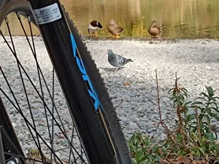 Bicicleta Montaña R26. 21 velocid