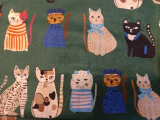 Sciarpa e guanti invernali con gatti