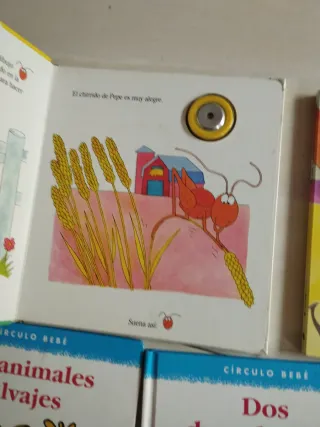 lote cuentos cartón duro