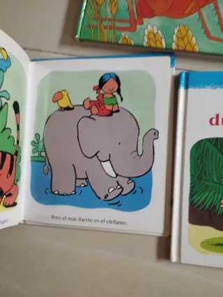 lote cuentos cartón duro