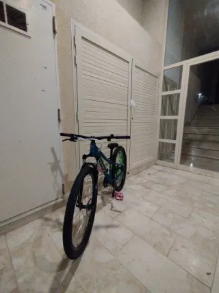 Bicicleta MTB/Stunt/dirt,se incluyen las dos rueda