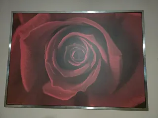 Cuadro Ikea Rosa Roja Grande