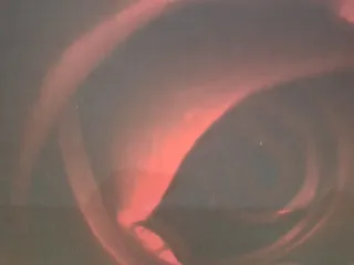 Cuadro Ikea Rosa Roja Grande