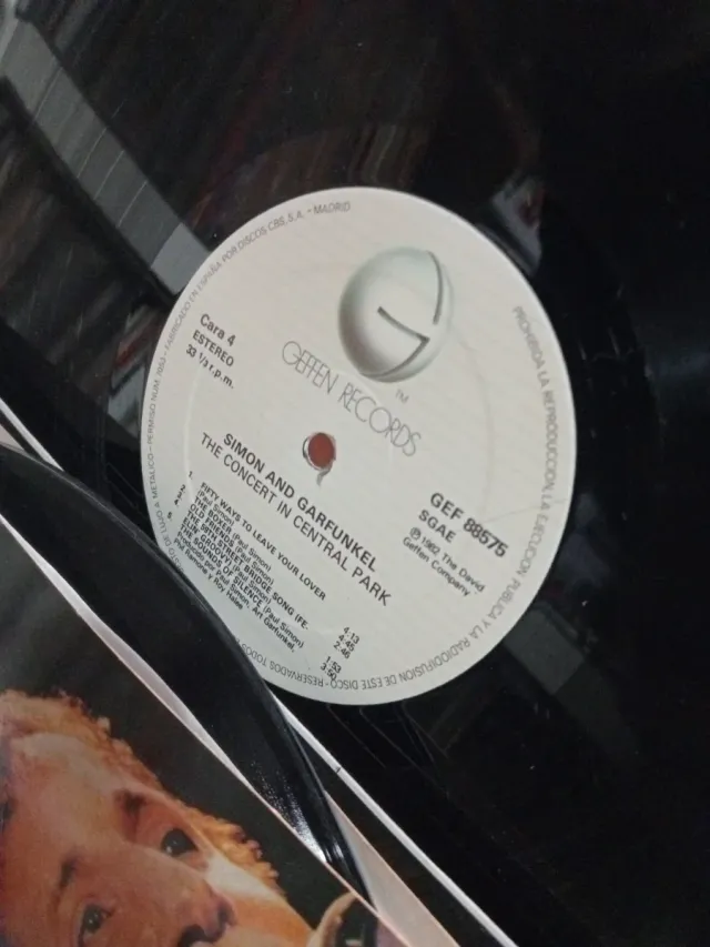 Simon & Garfunkel: The Concert in Central Park