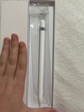 Apple Pencil 1ª Gen