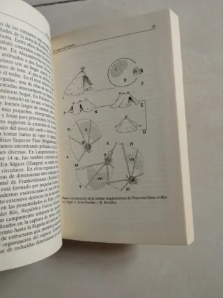 El Origen del Hombre (Biblioteca Historia 16) (...