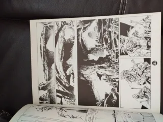 Hom - koolau el leproso - Carlos Giménez