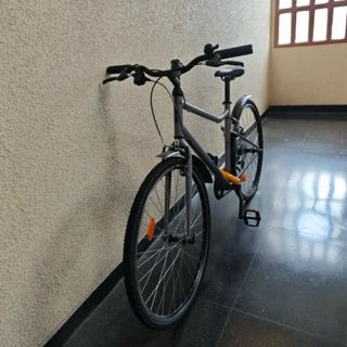 Bicicleta RIVERSIDE Gris