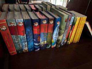Geronimo Stilton Lote de libros