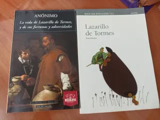Lazarillo de Tormes (Nueva biblioteca didáctica)