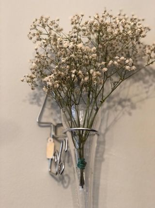 Violetero de cristal para pared