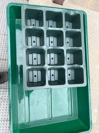 Mini invernadero con bandeja y cubiertas