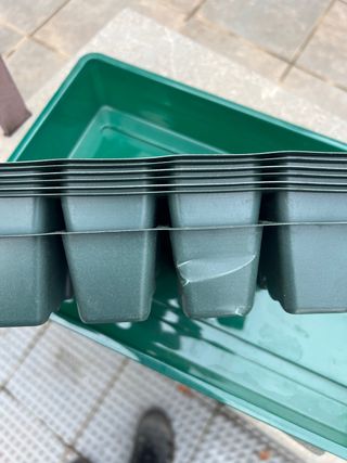 Mini invernadero con bandeja y cubiertas