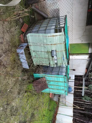 Bidón / Contenedor de Agua