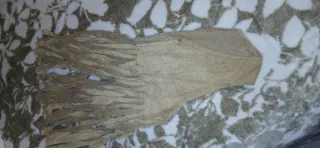 Costume figlia dei fiori bambina 5/6 anni