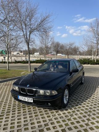 BMW Serie 5 2001 PEGATINA B 🟡