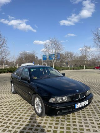 BMW Serie 5 2001 PEGATINA B 🟡