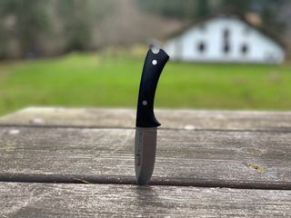 Cuchillo de monte Muela Peccary 7cm