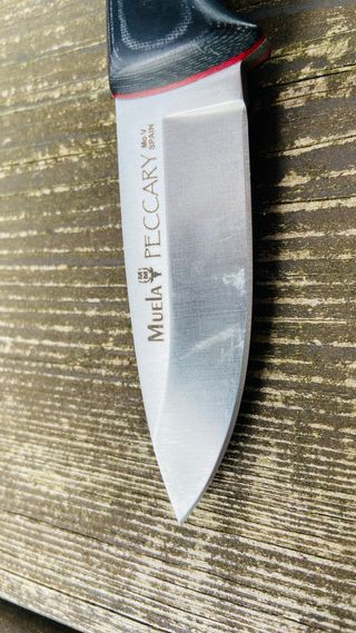 Cuchillo de monte Muela Peccary 7cm