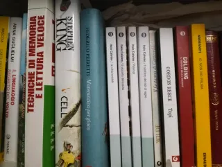Libri vari scolastici, romanzi e saggi