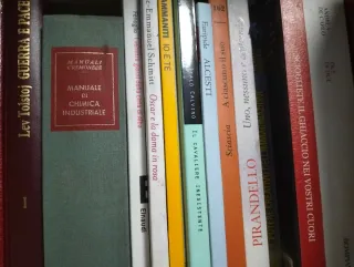 Libri vari scolastici, romanzi e saggi