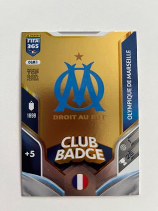 Cromo Panini FIFA 365