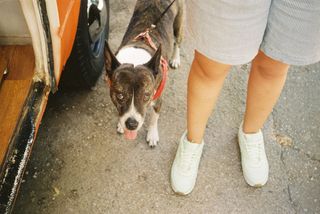 Cámara analógica Canon Sure Shot Max 35mm