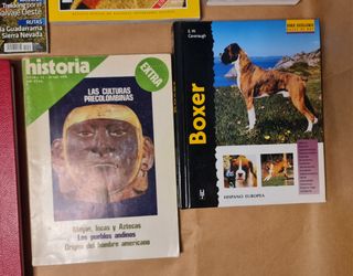 LOTE LIBROS/REVISTAS